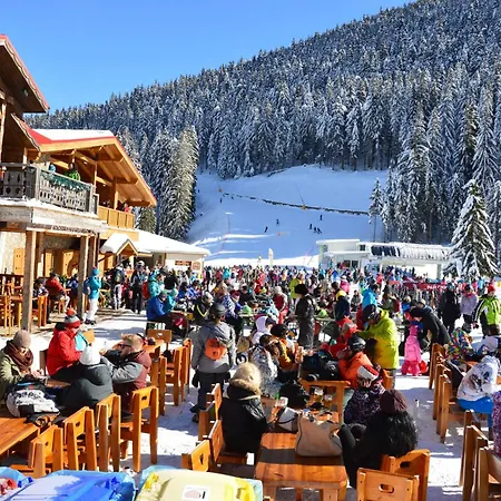 Apartment In Dream Bansko